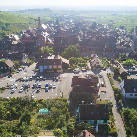 Gewurztraminer - Studio Au Pied Du Vignoble - Renove Recemment - Parking Gratuit Riquewihr Exteriör bild