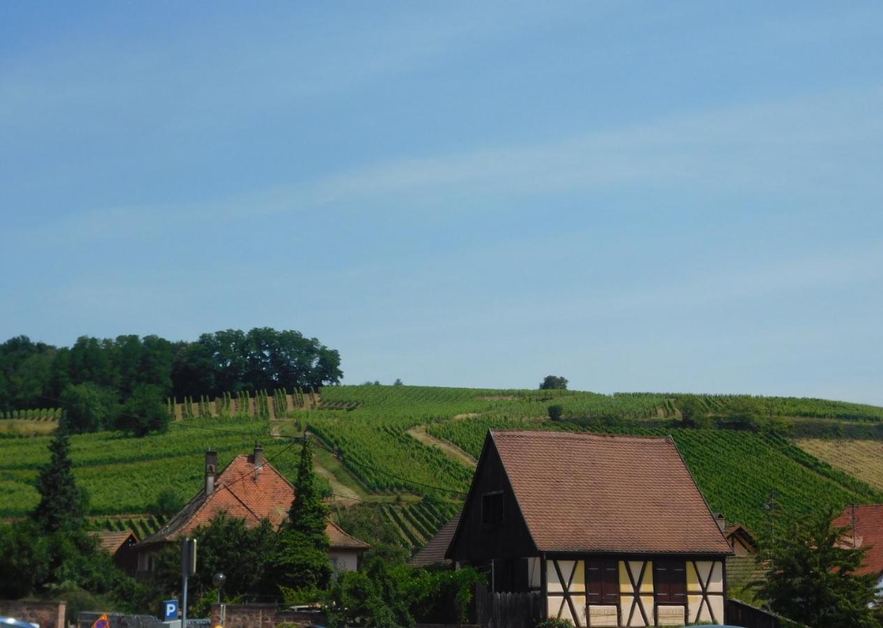 Gewurztraminer - Studio Au Pied Du Vignoble - Renove Recemment - Parking Gratuit Riquewihr Exteriör bild