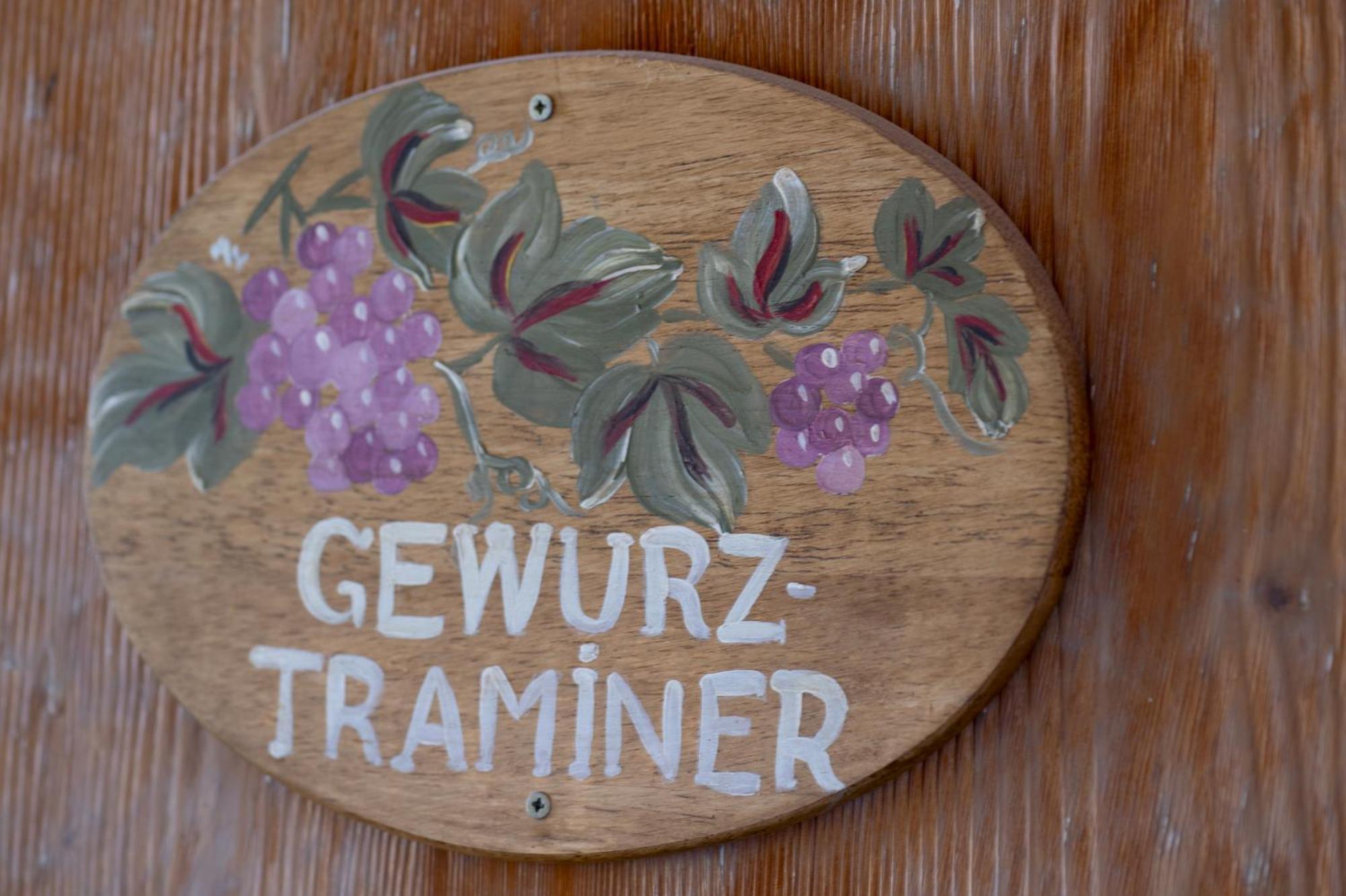 Gewurztraminer - Studio Au Pied Du Vignoble - Renove Recemment - Parking Gratuit Riquewihr Exteriör bild
