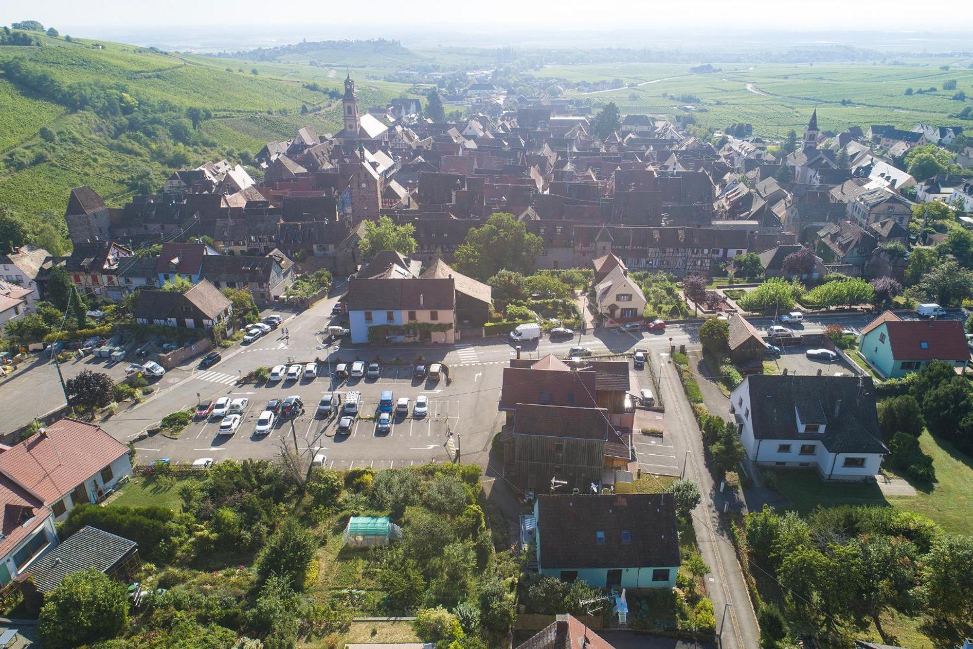 Gewurztraminer - Studio Au Pied Du Vignoble - Renove Recemment - Parking Gratuit Riquewihr Exteriör bild